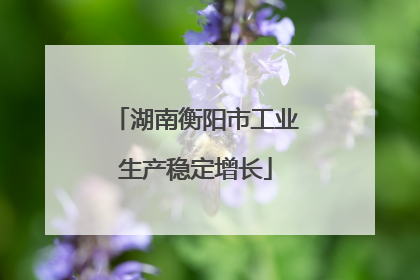 湖南衡阳市工业生产稳定增长
