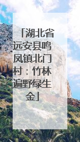 湖北省远安县鸣凤镇北门村：竹林遍野绿生金