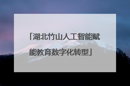 湖北竹山人工智能赋能教育数字化转型