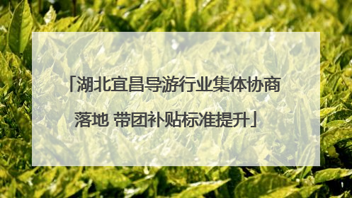 湖北宜昌导游行业集体协商落地 带团补贴标准提升