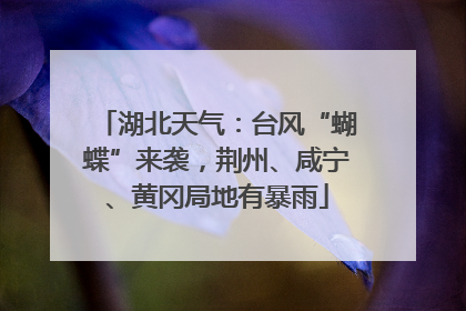 湖北天气：台风“蝴蝶”来袭，荆州、咸宁、黄冈局地有暴雨