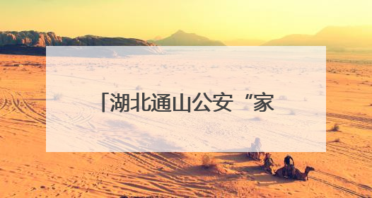 湖北通山公安“家+智慧”改革推进政务服务提质增效