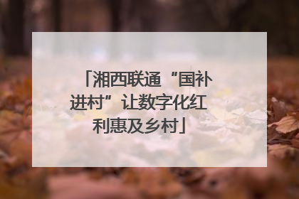湘西联通“国补进村”让数字化红利惠及乡村