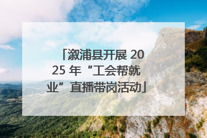 溆浦县开展 2025 年“工会帮就业”直播带岗活动