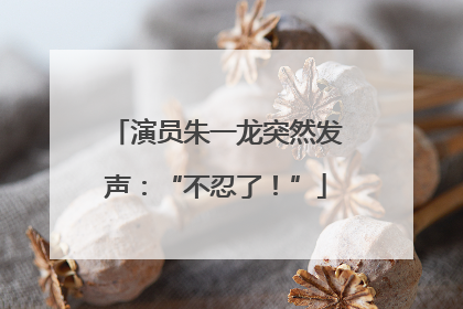 演员朱一龙突然发声：“不忍了！”