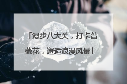 漫步八大关，打卡蔷薇花，邂逅浪漫风景