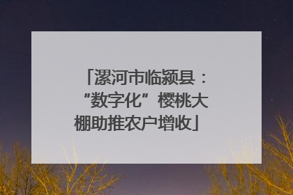 漯河市临颍县：“数字化”樱桃大棚助推农户增收