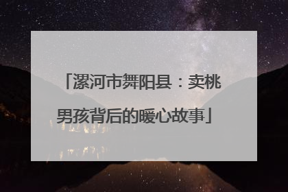 漯河市舞阳县：卖桃男孩背后的暖心故事
