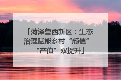 菏泽鲁西新区：生态治理赋能乡村“颜值”“产值”双提升