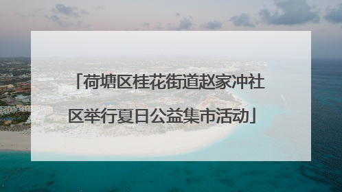 荷塘区桂花街道赵家冲社区举行夏日公益集市活动
