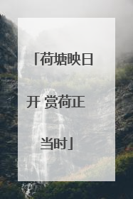 荷塘映日开 赏荷正当时