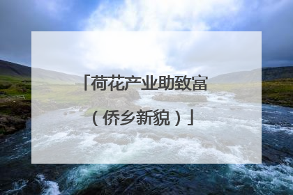 荷花产业助致富（侨乡新貌）