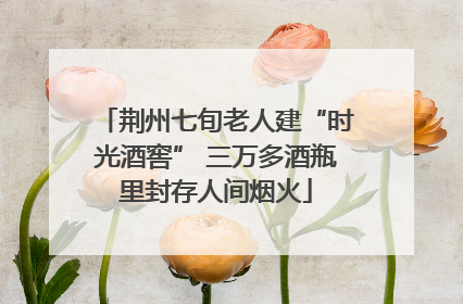 荆州七旬老人建“时光酒窖” 三万多酒瓶里封存人间烟火