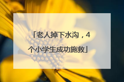 老人掉下水沟，4个小学生成功施救