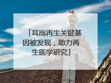 耳廓再生关键基因被发现，助力再生医学研究