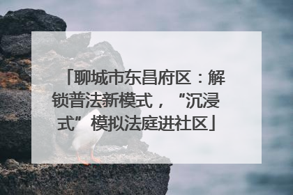 聊城市东昌府区：解锁普法新模式，“沉浸式”模拟法庭进社区