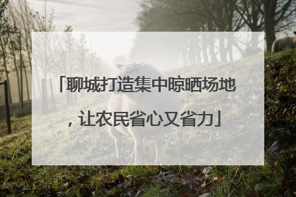 聊城打造集中晾晒场地，让农民省心又省力