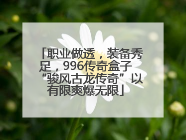 职业做透，装备秀足，996传奇盒子“骏风古龙传奇”以有限爽爆无限