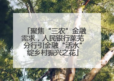 聚焦“三农”金融需求，人民银行莱芜分行引金融“活水”绽乡村振兴之花