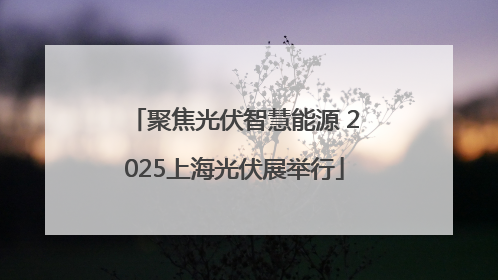 聚焦光伏智慧能源 2025上海光伏展举行