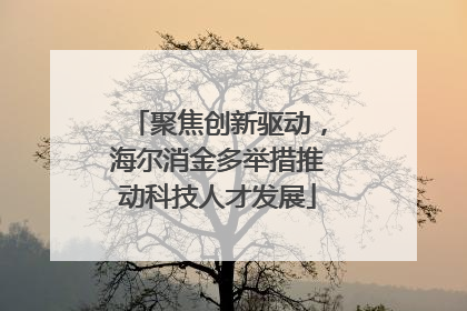 聚焦创新驱动，海尔消金多举措推动科技人才发展
