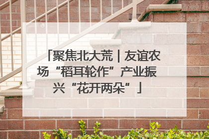 聚焦北大荒｜友谊农场“稻耳轮作”产业振兴“花开两朵”