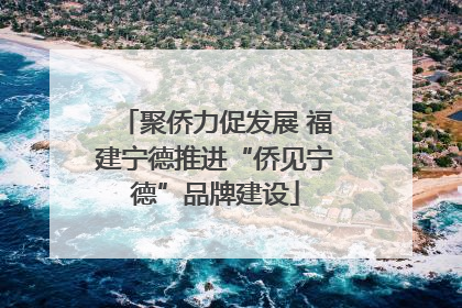 聚侨力促发展 福建宁德推进“侨见宁德”品牌建设