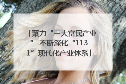 聚力“三大富民产业” 不断深化“1131”现代化产业体系
