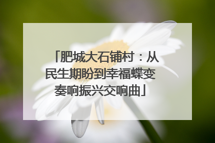 肥城大石铺村：从民生期盼到幸福蝶变奏响振兴交响曲