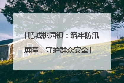 肥城桃园镇：筑牢防汛屏障，守护群众安全