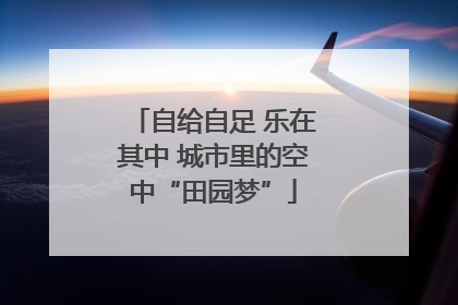 自给自足 乐在其中 城市里的空中“田园梦”
