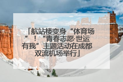 航站楼变身“体育场”！“青春志愿·世运有我”主题活动在成都双流机场举行