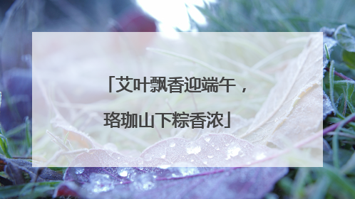 艾叶飘香迎端午，珞珈山下粽香浓