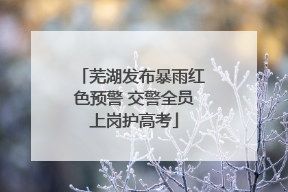 芜湖发布暴雨红色预警 交警全员上岗护高考