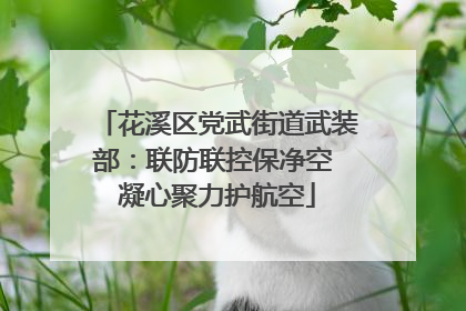 花溪区党武街道武装部：联防联控保净空 凝心聚力护航空