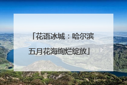 花语冰城：哈尔滨五月花海绚烂绽放