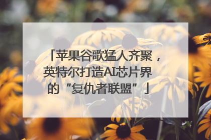 苹果谷歌猛人齐聚，英特尔打造AI芯片界的“复仇者联盟”