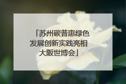 苏州碳普惠绿色发展创新实践亮相大阪世博会