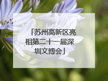 苏州高新区亮相第二十一届深圳文博会