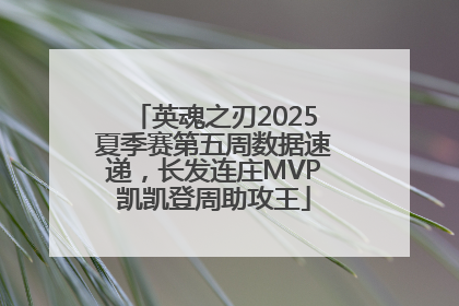 英魂之刃2025夏季赛第五周数据速递，长发连庄MVP凯凯登周助攻王