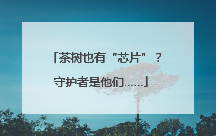 茶树也有“芯片”？守护者是他们……