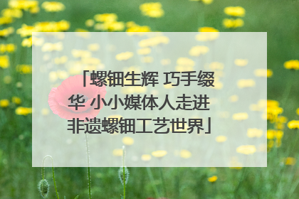 螺钿生辉 巧手缀华 小小媒体人走进非遗螺钿工艺世界