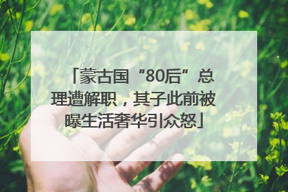 蒙古国“80后”总理遭解职，其子此前被曝生活奢华引众怒