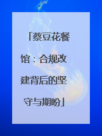 蔡豆花餐馆：合规改建背后的坚守与期盼