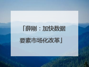 薛刚：加快数据要素市场化改革