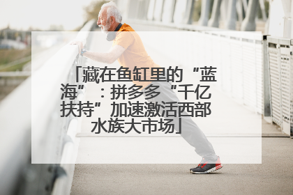 藏在鱼缸里的“蓝海”：拼多多“千亿扶持”加速激活西部水族大市场