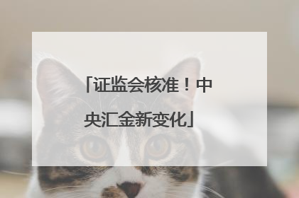 证监会核准！中央汇金新变化