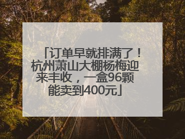 订单早就排满了！杭州萧山大棚杨梅迎来丰收，一盒96颗能卖到400元