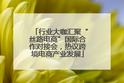 行业大咖汇聚“丝路电商”国际合作对接会，热议跨境电商产业发展