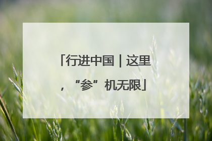行进中国｜这里，“参”机无限